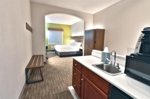 歌珊戈申快捷假日&套房酒店的酒店客房设有水槽和一间卧室