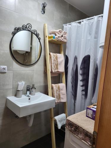 Crni VrhAntić apartmani Stara planina的浴室设有水槽、镜子和浴帘