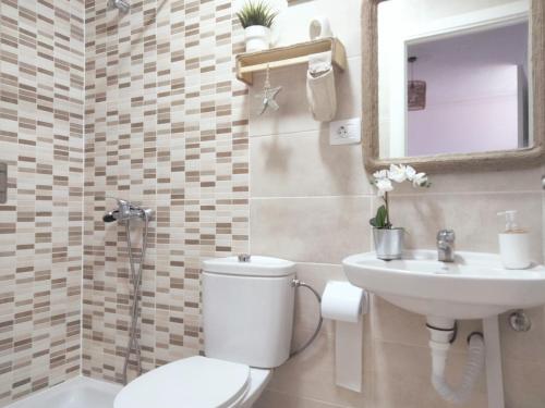 阿罗纳La casita的一间带卫生间、水槽和镜子的浴室