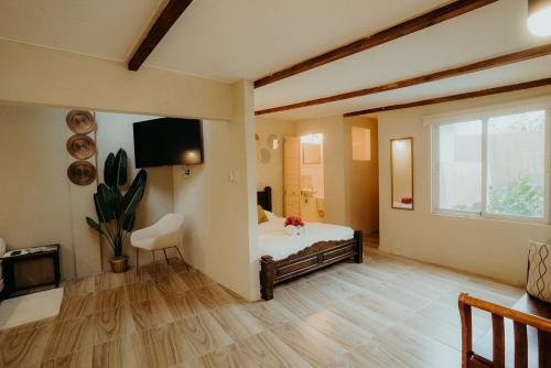 威廉斯塔德Homey Vacation的客房设有床、窗户和电视。