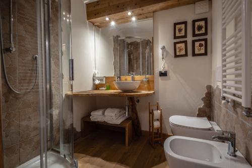 布勒伊-切尔维尼亚Hotel & Ristorante Serenella的一间带水槽、卫生间和淋浴的浴室