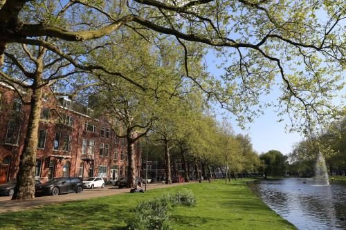 鹿特丹Mr.Lewis Rotterdam的一座公园,旁边是一条有树木的河流和一座建筑