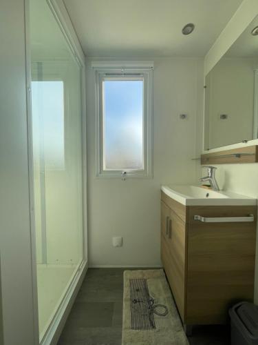 翁赞Mobil home luxe 8 personnes avec wifi的带淋浴和盥洗盆的浴室以及窗户。