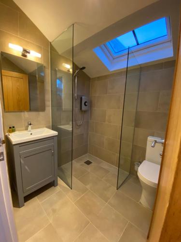LlandogoTiny home, the Wye Valley, Clanna Cottage Llandogo的带淋浴、卫生间和盥洗盆的浴室