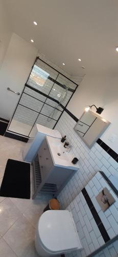 豪森Le grenier de Véro的客房内设有带卫生间和盥洗盆的浴室