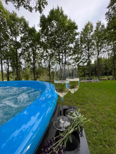 马多纳Sniegi Apartments with sauna的两杯葡萄酒坐在游泳池旁