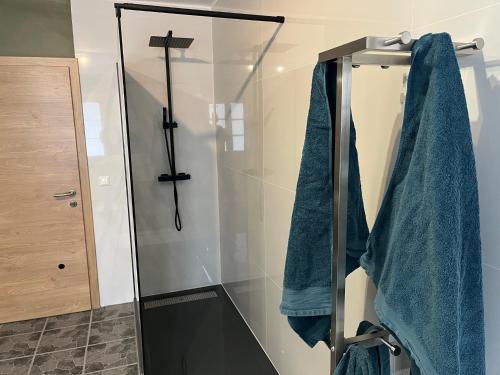 MörtschachGasthof Fair的带淋浴和蓝色毛巾的浴室