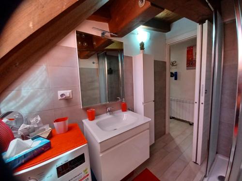 菲乌吉Appartamento Fiuggi Terme的一间带水槽和镜子的小浴室