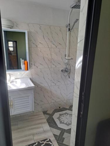 图利亚拉le tamarin的一间带水槽和镜子的浴室