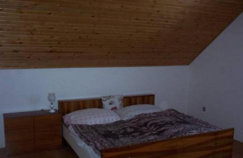 AdolfoviceUbytování v Jeseníkách - Bělá pod Pradědem的一间卧室设有一张床和木制天花板