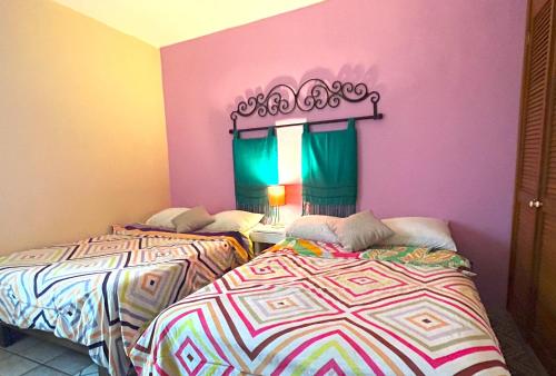 卡波圣卢卡斯Sofia Hostel Cabo的配有粉红色和紫色墙壁的客房内的两张床