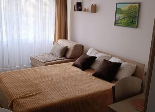 索科矿泉村Studio Apartman Sweet的一间卧室配有一张床和一张沙发