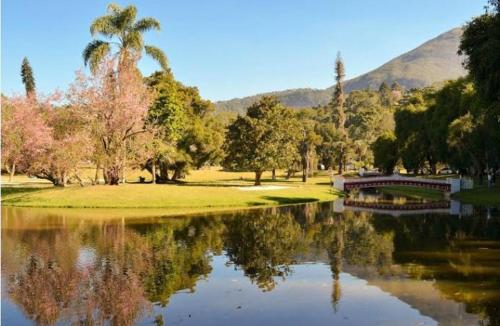 新弗里堡Pedra Do Imperador的公园里有一个池塘,有树木和桥梁