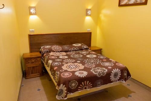 NaolincoHotel del Parque Naolinco的卧室配有一张床,墙上有两盏灯