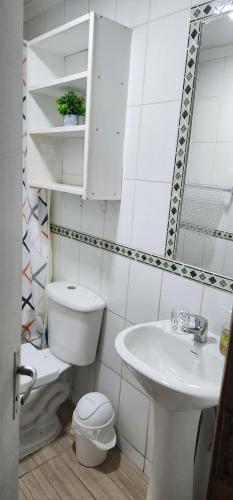 蓬塔阿雷纳斯Cómoda y Acogedora casa climatizada的白色的浴室设有卫生间和水槽。