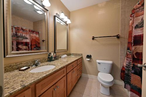 BirchwoodUnit 433B Efficiency 1BD 1 BA condo condo的一间带水槽、卫生间和镜子的浴室