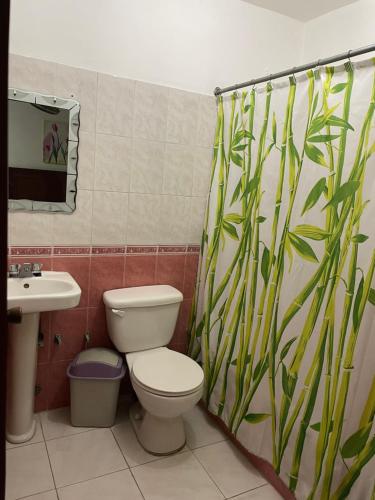 圣多明各托雷斯公寓式酒店的一间带卫生间和水槽的浴室