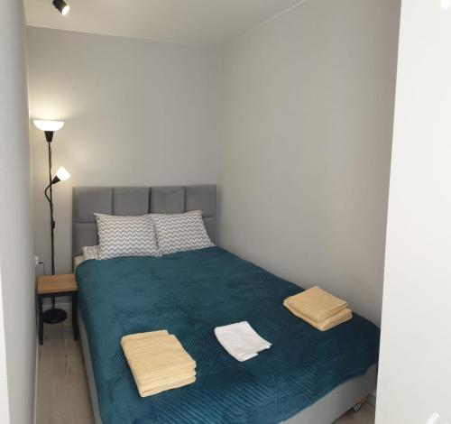 卡托维兹Apartamenty Katowice Chopina 16的一间卧室配有蓝色的床和毛巾