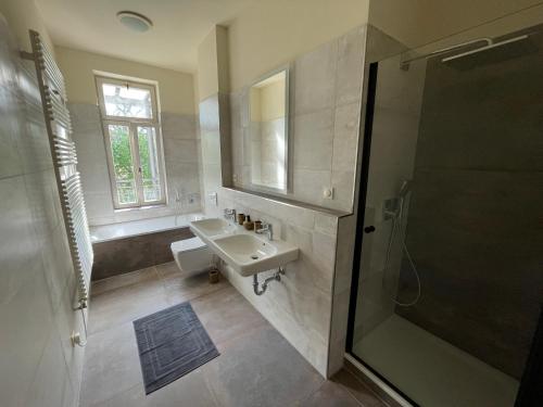 莱比锡Ruhige&charmante Altbauwohnung的一间带水槽和淋浴的浴室