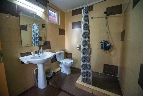 那沃达利Casa Dumitrescu的一间带水槽、卫生间和淋浴的浴室