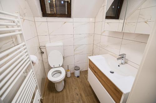 博希尼Holiday Home Kozorog的一间带卫生间和水槽的小浴室