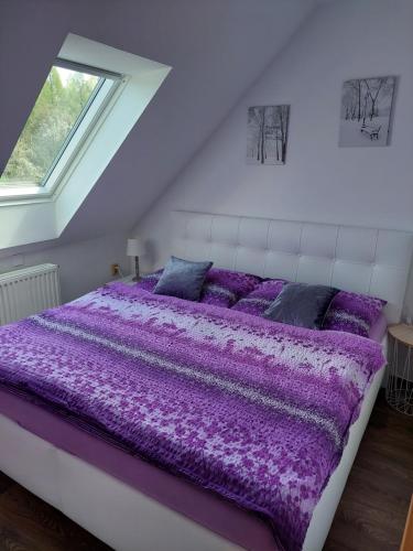 特罗亚诺维采Ubytování u Solárky的白色的客房设有窗户,配有一张大型紫色床