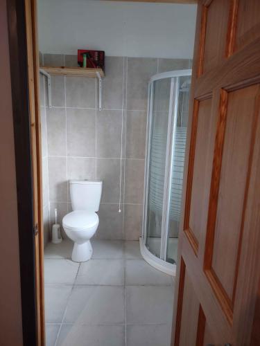 RossbegOld Eden House的一间带卫生间和玻璃淋浴间的浴室