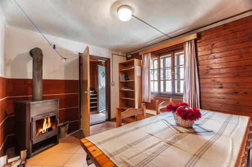 GoreljekMala koča Wooden Cabin的客厅配有桌子和壁炉