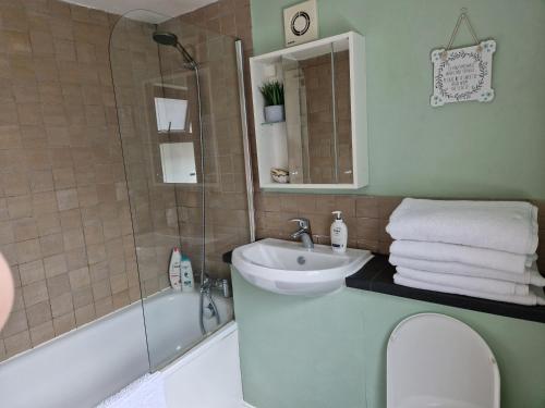 卡迪夫Tynant House- Modern 3 bed house- City centre and FREE parking的一间带水槽、卫生间和淋浴的浴室