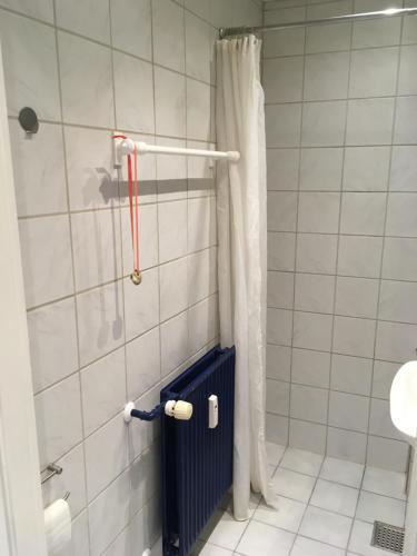 奥尔堡Astas Apartment的白色瓷砖浴室设有淋浴帘