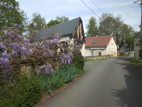 Civray-de-Tourainegîte des Caves的路旁有紫色花的房屋