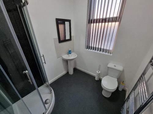 利物浦Portside Liverpool的带淋浴、卫生间和盥洗盆的浴室