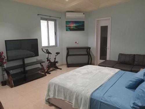 博博迪乌拉Oasis Lawafossi的一间卧室配有一张床和一台平面电视