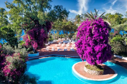 阿尔巴塔克斯阿尔巴塔克斯公园塔利斯度假村的一座带紫色花卉和桌椅的游泳池