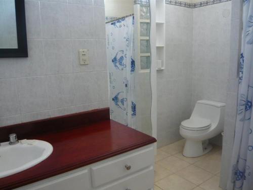 特古西加尔巴河景公寓式酒店的浴室配有卫生间、盥洗盆和淋浴。