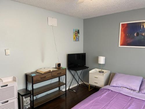 费德勒尔韦Shared Space with Private room in Beautiful Lakefront Apartment的一间卧室配有一张床和一张书桌及电视