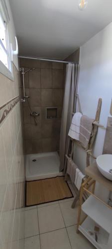 Chambre avec salle de bain privative dans maison créole的一间浴室