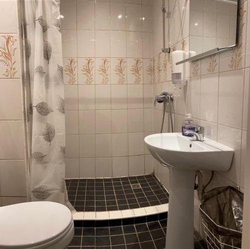 塔林Aquamarine Hotel - Lauluväljak的一间带水槽、卫生间和淋浴的浴室