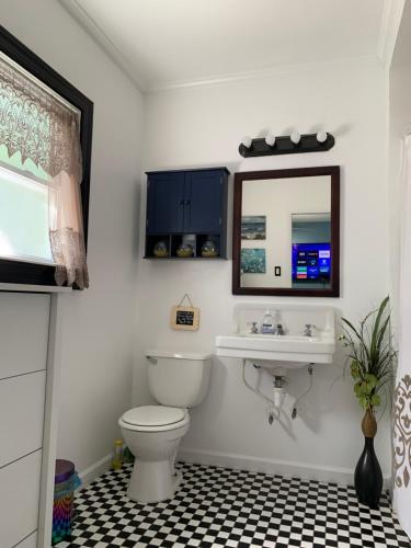 萨拉索塔Mini Studio: 10 min/Siesta Key/Private entrance/的一间带卫生间和水槽的浴室