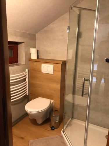 赫拉布斯普里瓦贝娅塔民宿的一间带卫生间和玻璃淋浴间的浴室