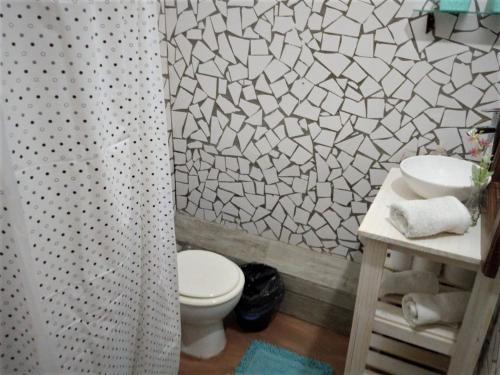 布宜诺斯艾利斯Pinzon P&G的一间带卫生间和淋浴帘的浴室