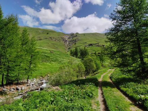 阿布列Les Hauts du Roux的一条穿过山丘的小径,一条河流