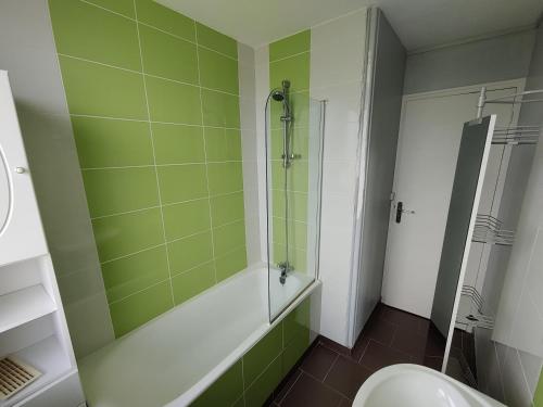 阿朗松Chambre Chez l'habitant - Chez Fab的绿色浴室设有淋浴和卫生间