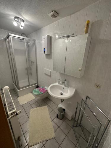 Ferienwohnung, Apartment, Monteurwohnung mit Klimaanlage Wettin - Löbejün的一间带水槽和淋浴的浴室