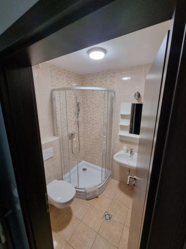 希欧福克亚当公寓旅馆的带淋浴、卫生间和盥洗盆的浴室