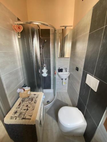 洛阿诺Centralissimo appartamento Loano的浴室配有卫生间、淋浴和盥洗盆。