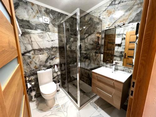 施利尔塞古德布鲁克酒店的带淋浴、卫生间和盥洗盆的浴室