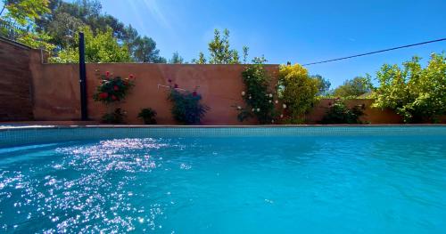 卡涅利亚斯Villa Belephant Sitges的庭院里的一个蓝色海水游泳池