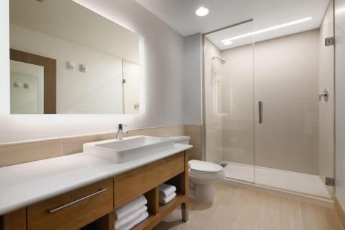圆石城Element Austin Round Rock的一间带水槽、卫生间和淋浴的浴室
