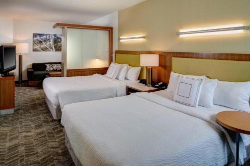 萨吉诺萨吉诺春季山丘套房酒店的酒店客房设有两张床和电视。